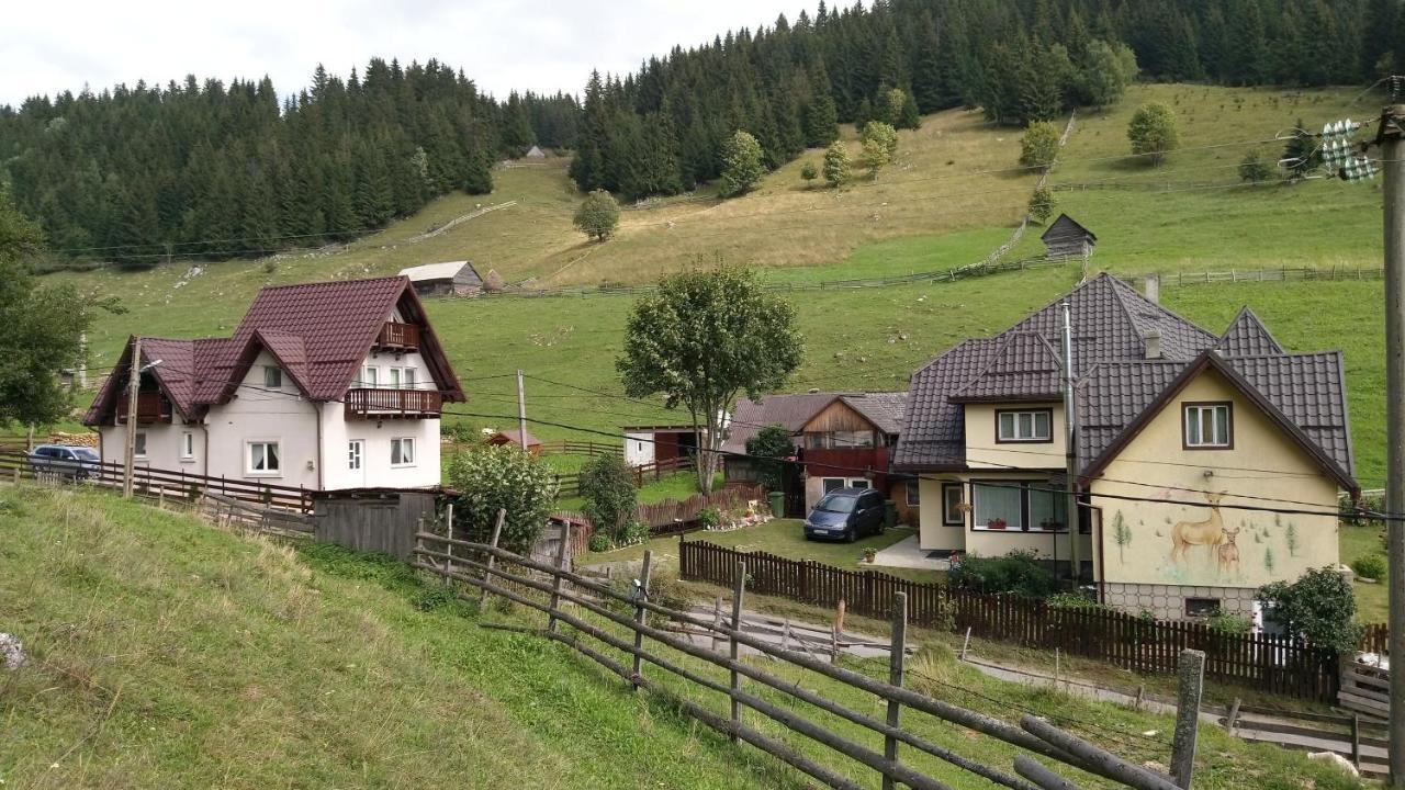 Casa Marcela Fundata Zewnętrze zdjęcie